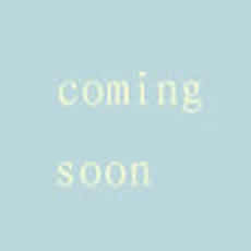 關(guān)于MNS低壓系統(tǒng)